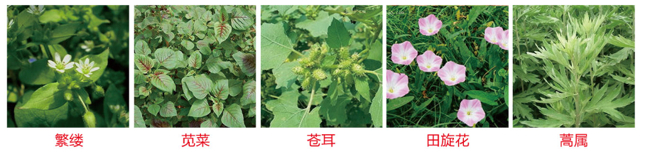 1586761896142599.png QQ截图20200413150932.png