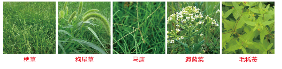 1586762097506891.png QQ截图20200413151255.png