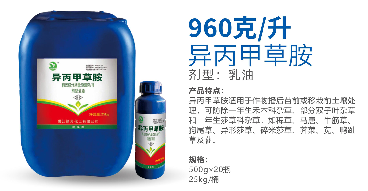 1765510012442320.jpg 42-42.jpg