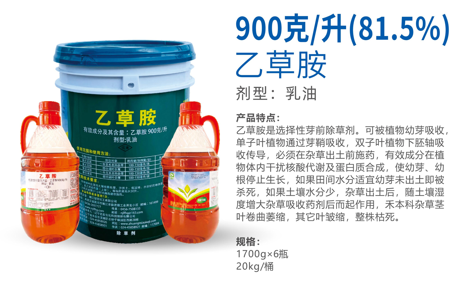 1765517396962654.jpg 43-43.jpg